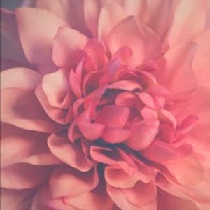 Meet your Posher, Hazel